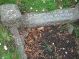 image of grave number 219843